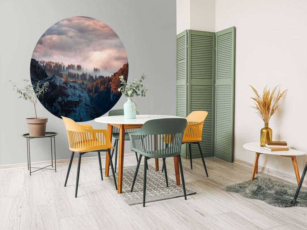 Lisière de forêt dans la brume du matin.