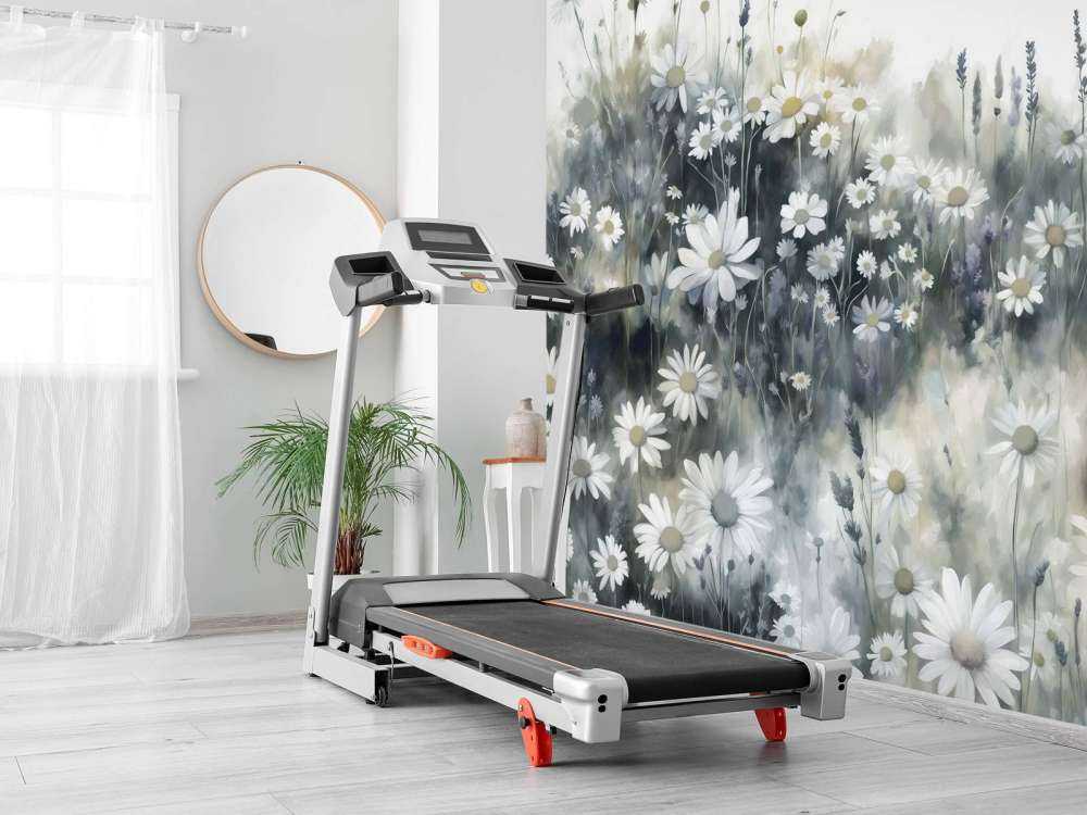 Prairie Verte de Marguerites Silencieuses