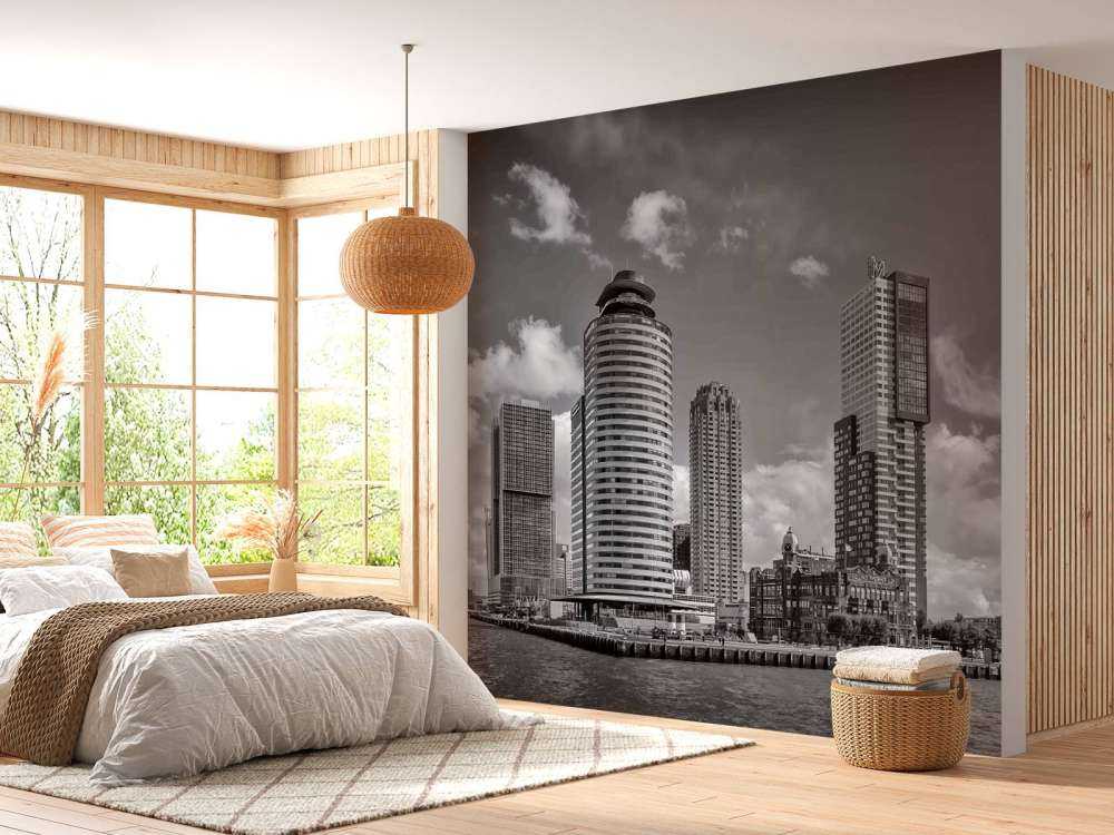 Contraste Noir-Blanc sur la Tête du Sud