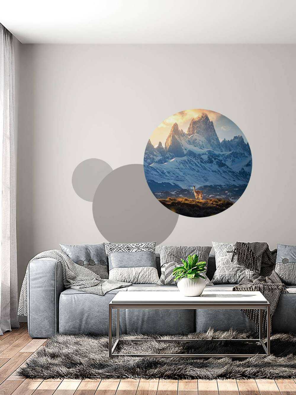 Guanaco devant les sommets enneigés de la Patagonie.