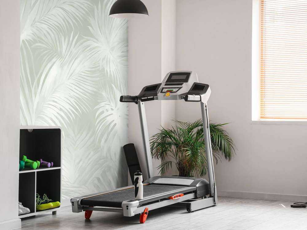 Palm Extravaganza Menthe