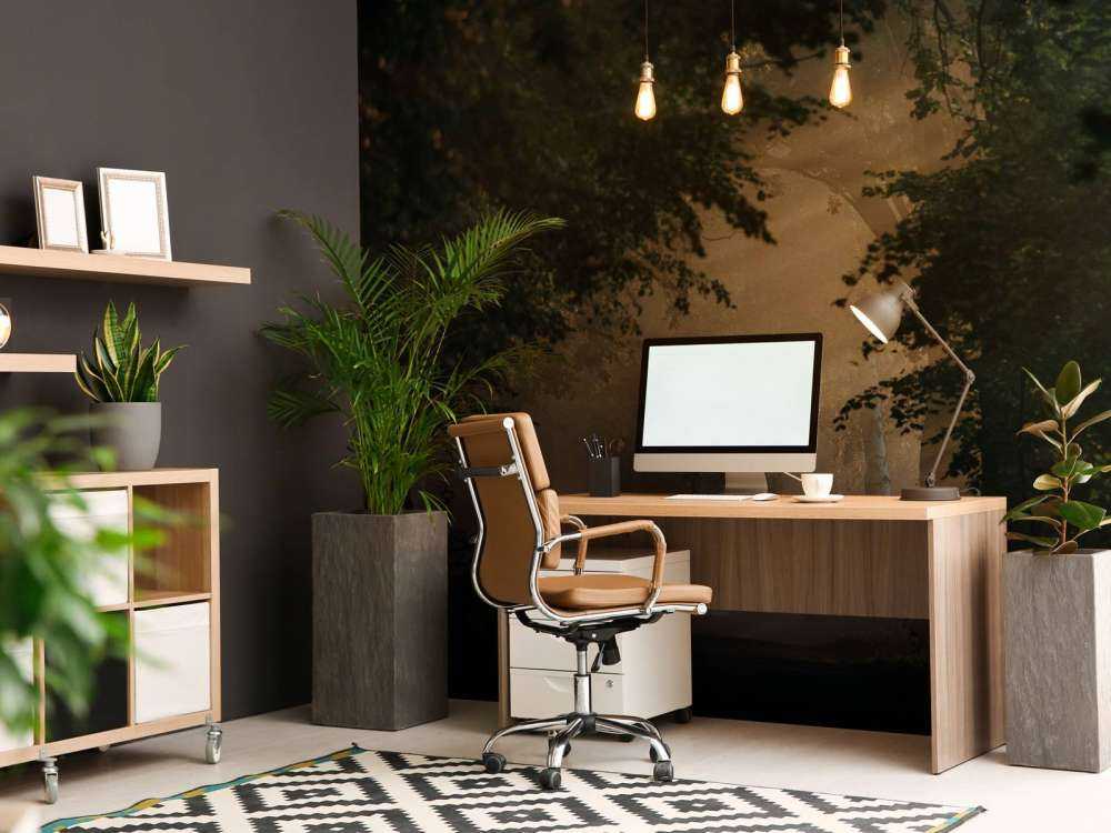 Lumière dorée dans la forêt