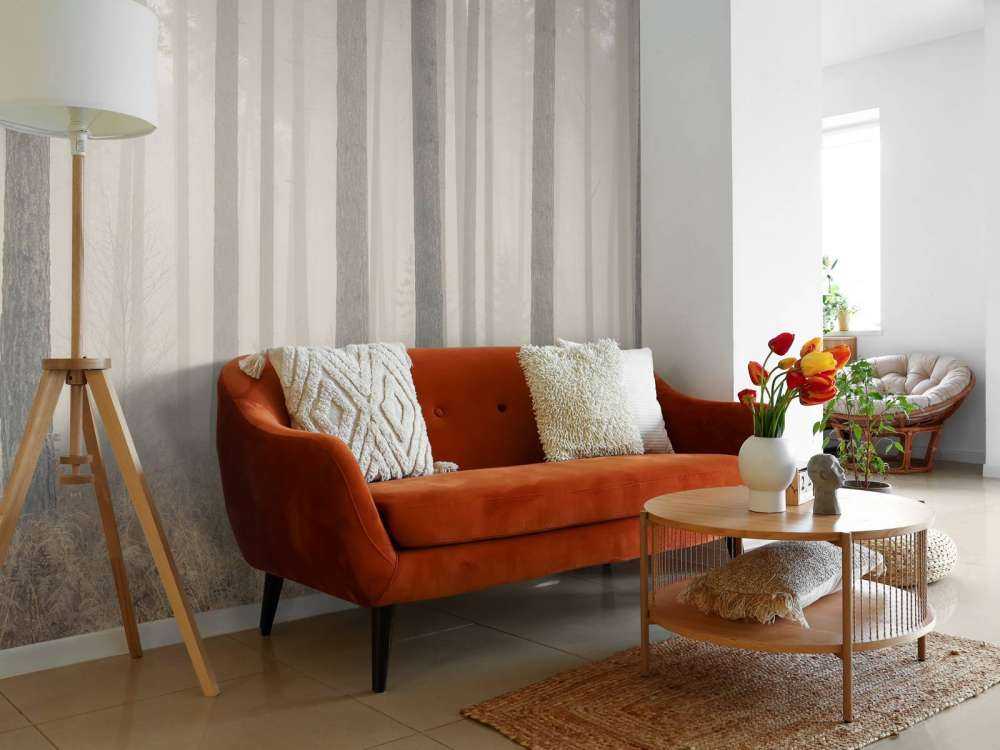 Forêt brumeuse mystérieuse