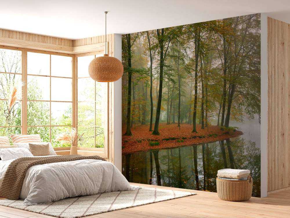 Réflexion d'arbres dans un étang