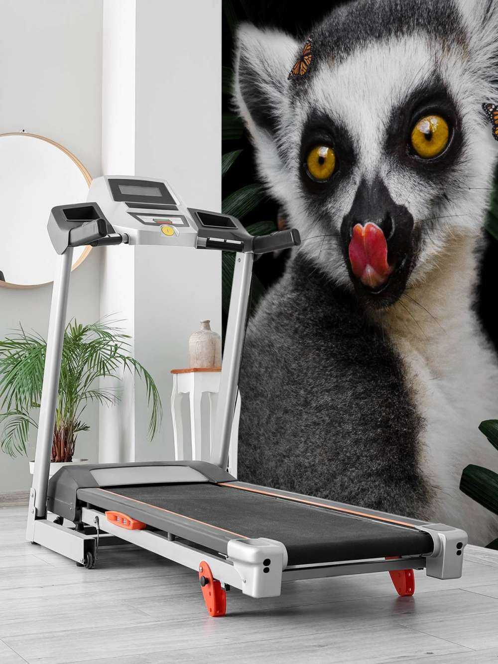 Jungle Lemur Portrait