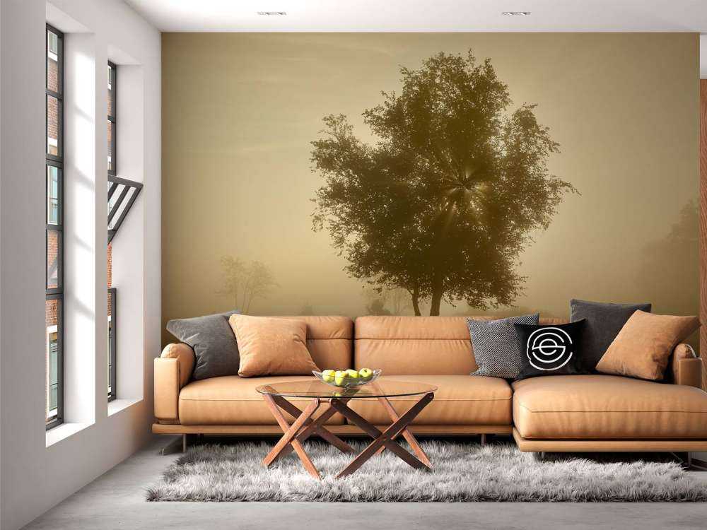 Lever de soleil doré