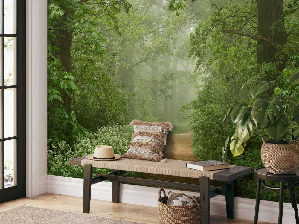 Forêt brumeuse avec chemin