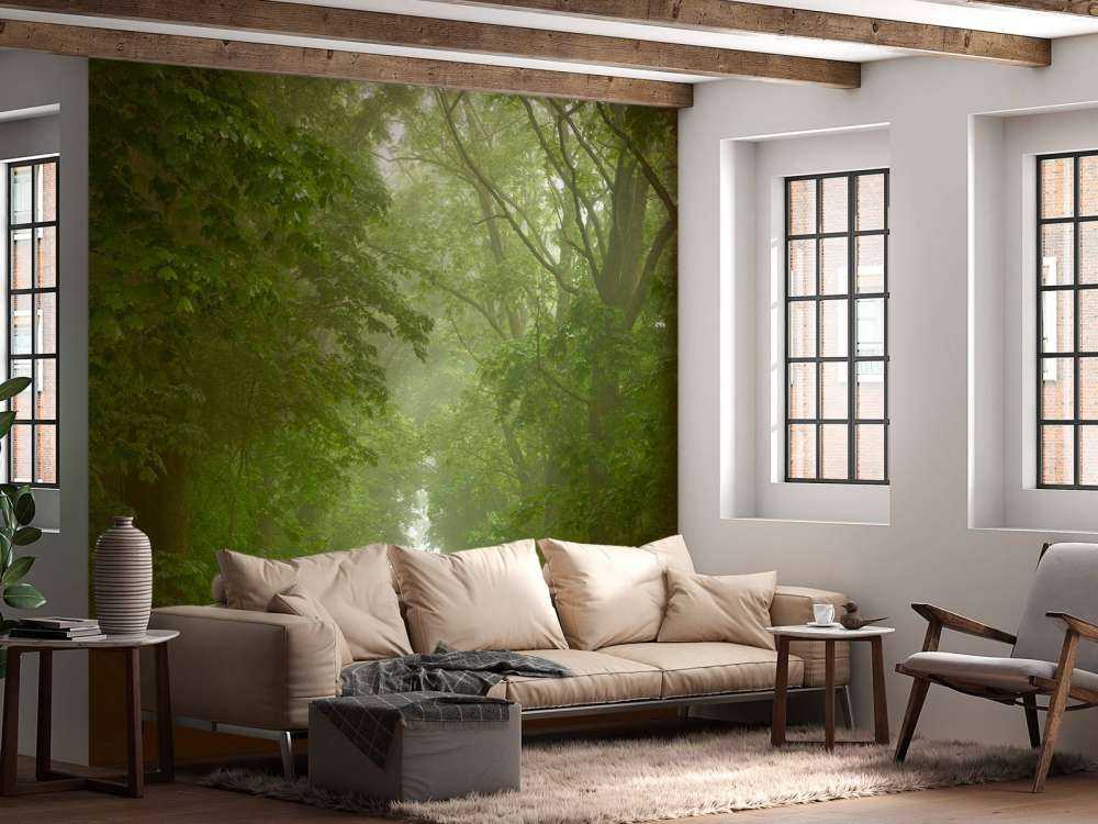 Forêt verte avec chemin brumeux