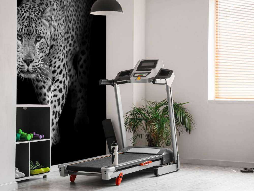 Léopard sur fond noir