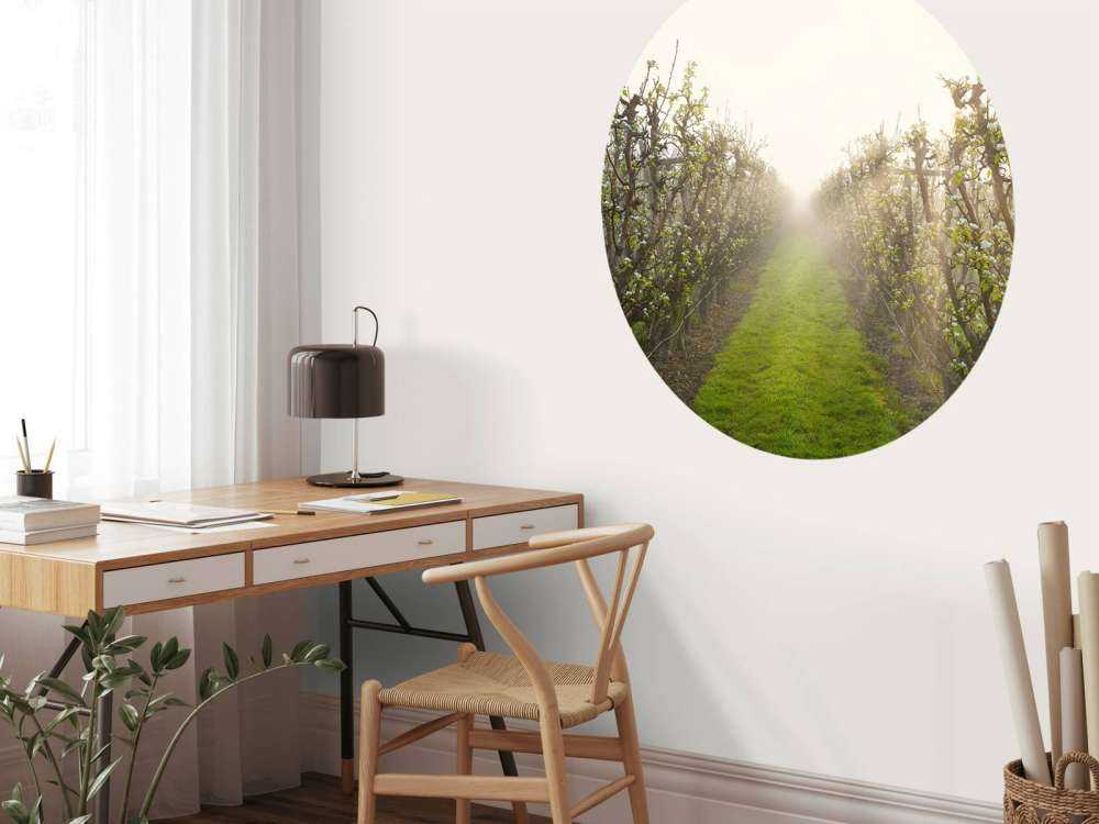 Fleur de poirier dans la brume