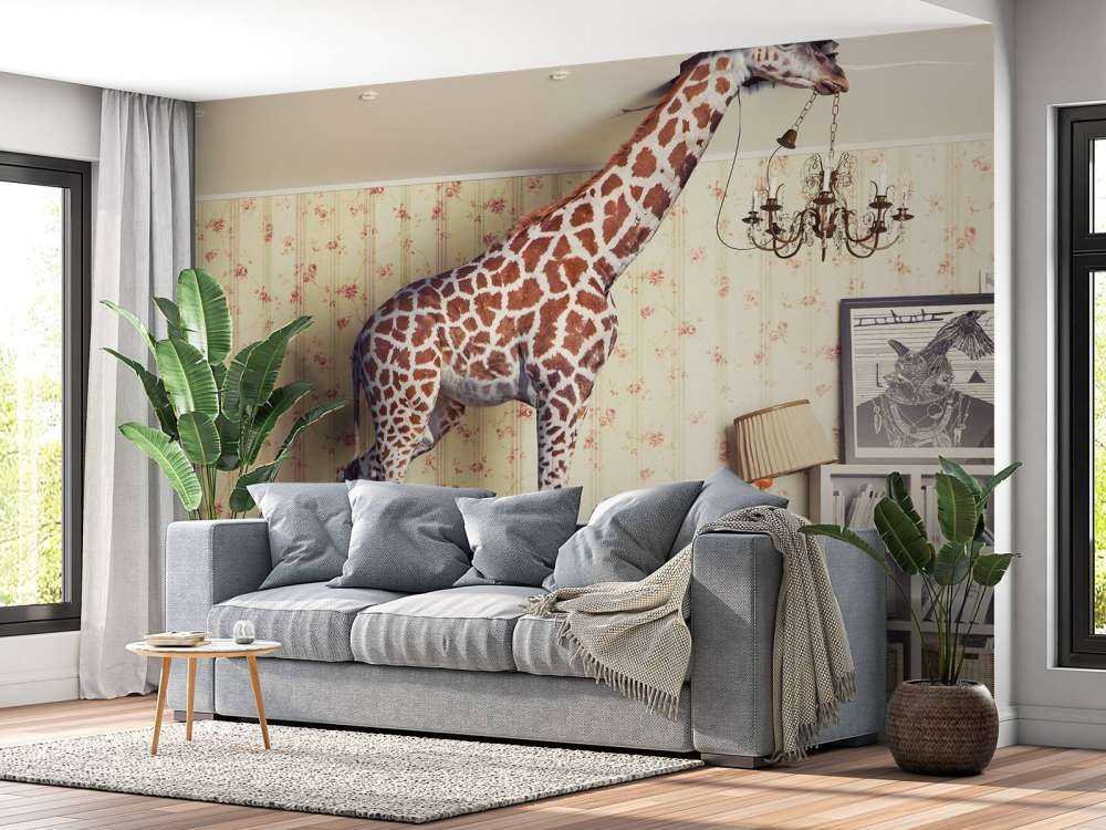 Girafe dans le salon