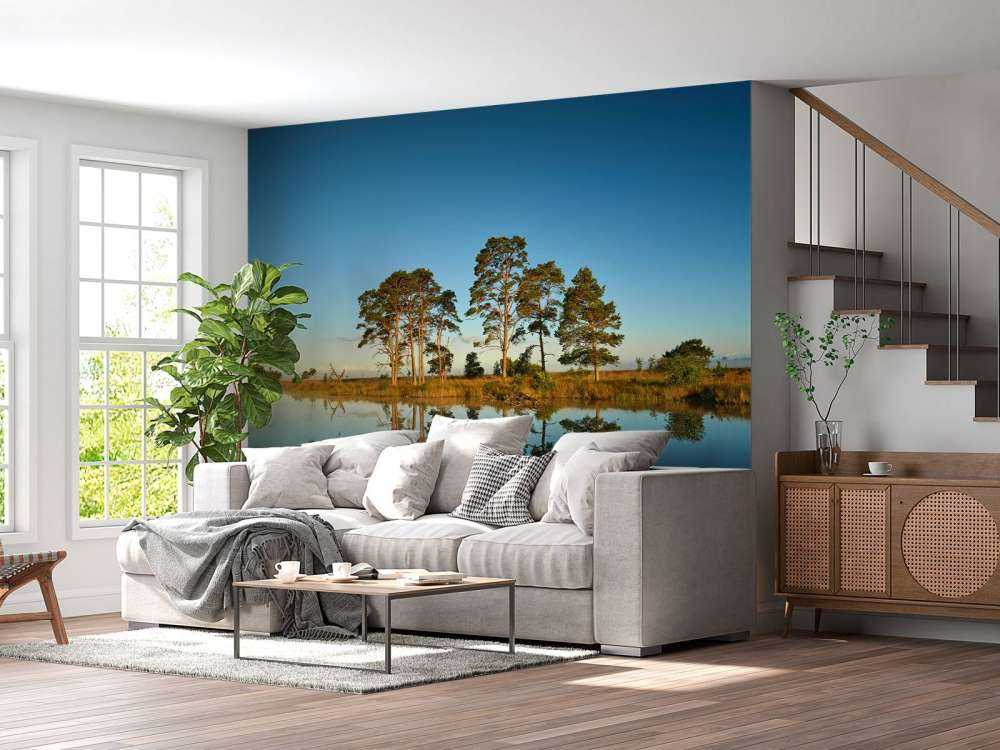 Réflexion dans un lac de forêt