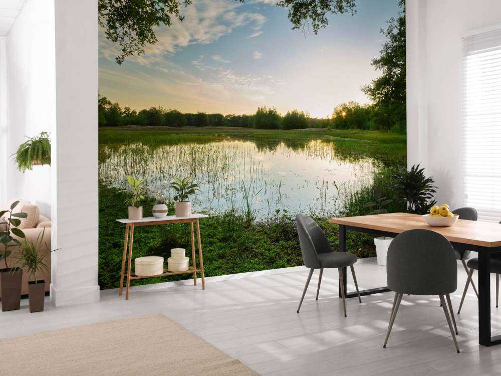 Coucher de soleil à forêt