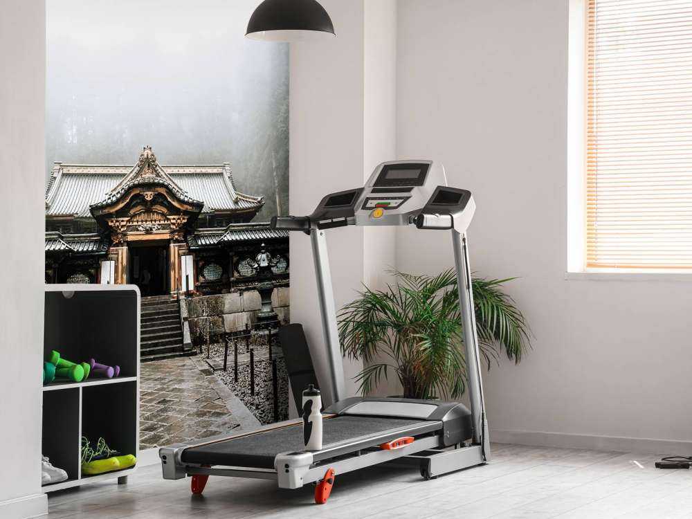 Ancien temple japonais