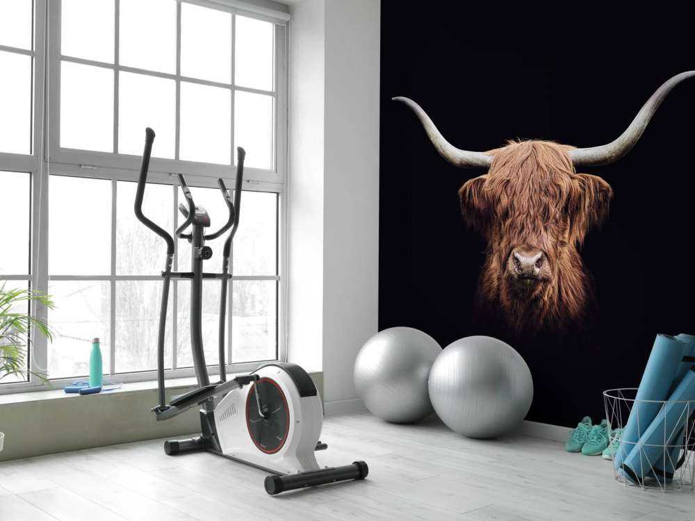 Highland écossais Vintage