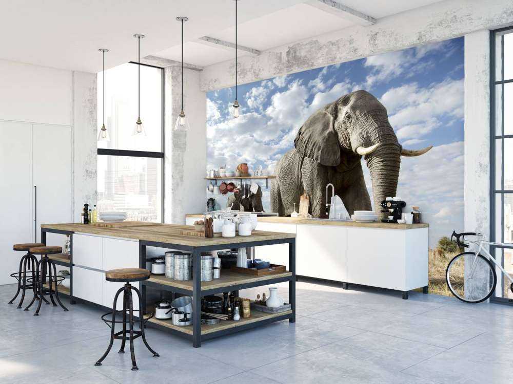 Le passage des éléphants