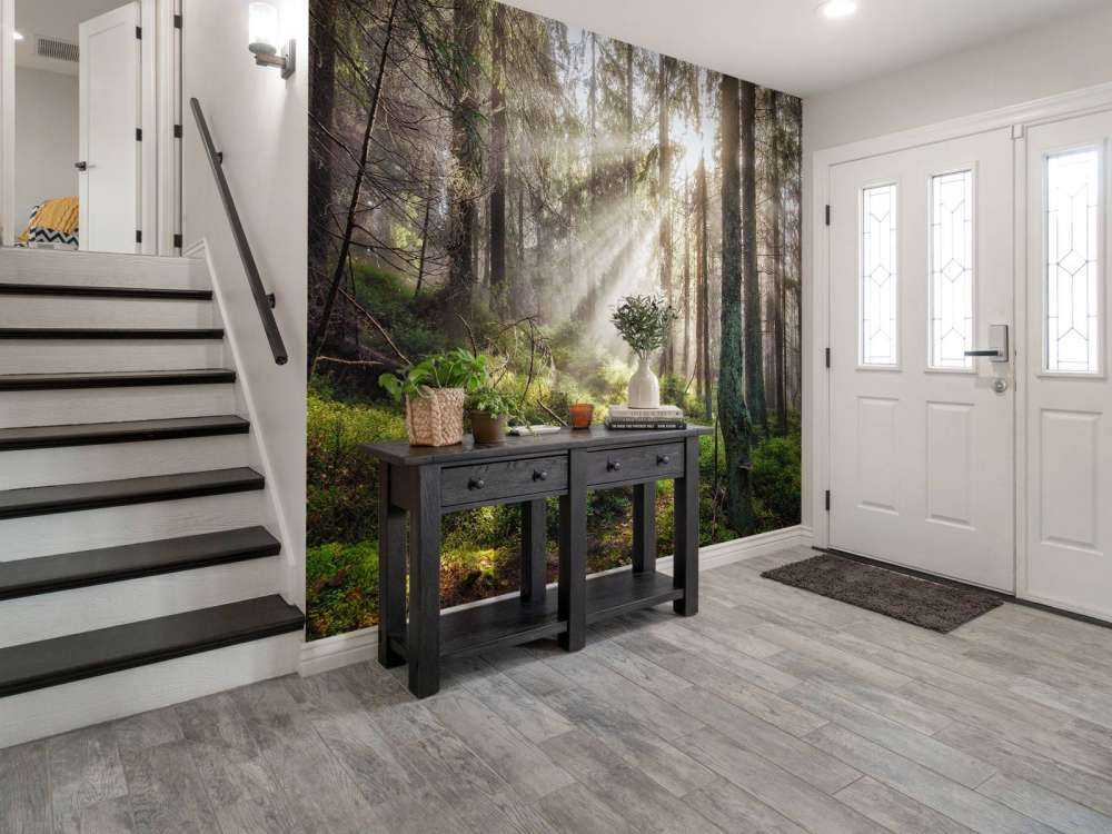 Forêt d'automne ensoleillée