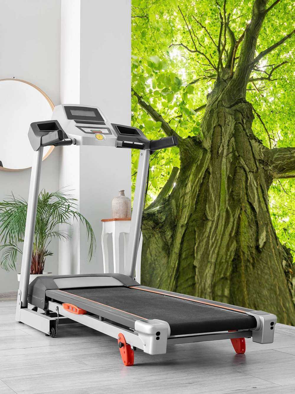 Grand arbre dans la forêt