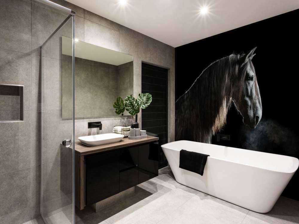 Cheval noir avec une robe grise