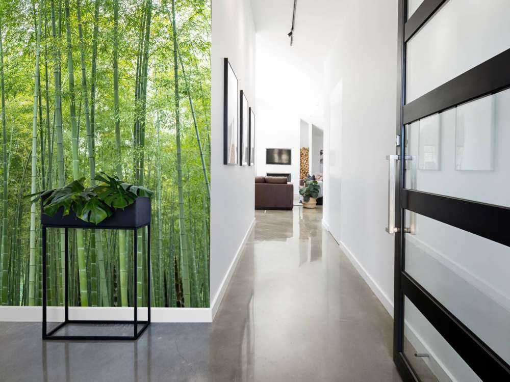 Forêt de bambous verts