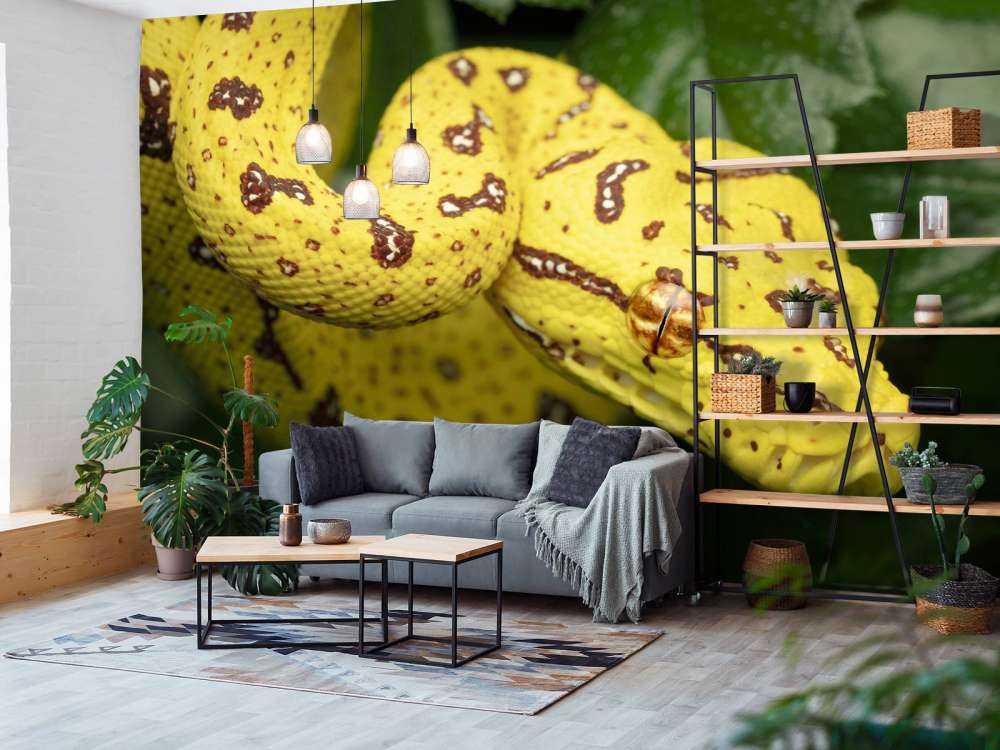 Gros plan sur un python arboricole