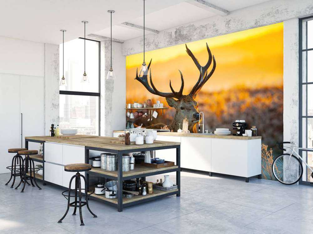 Cerf dans une réserve naturelle