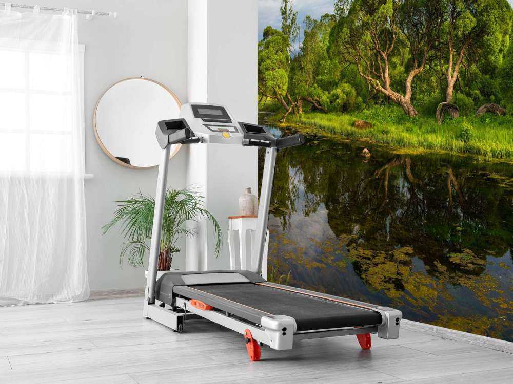 Arbres au bord d'un lac