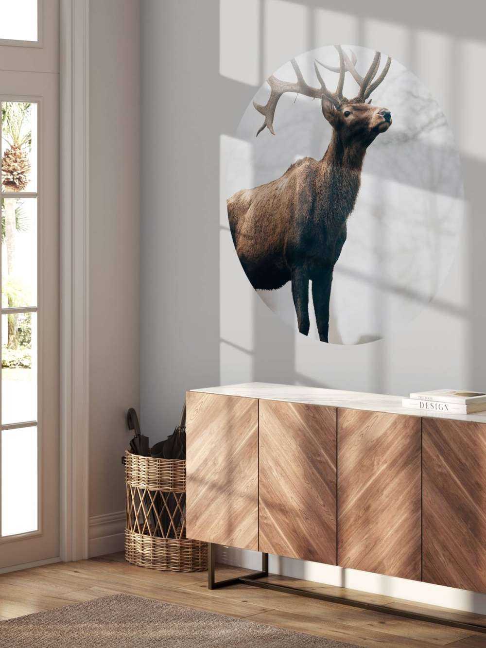 Des rennes dans le brouillard