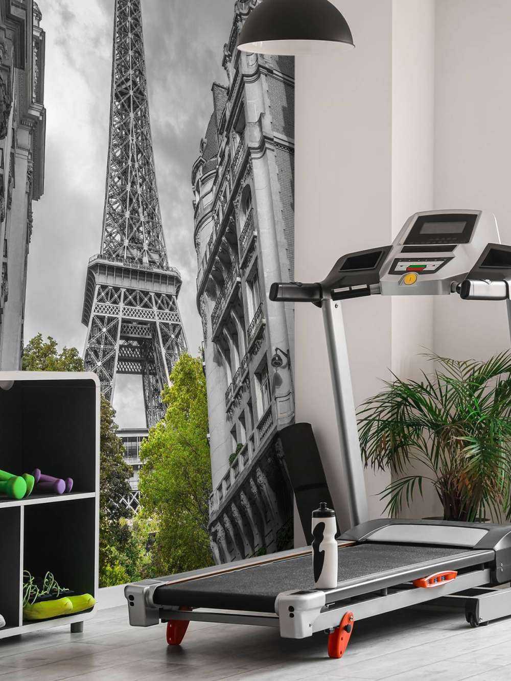 Tour Eiffel noir et blanc