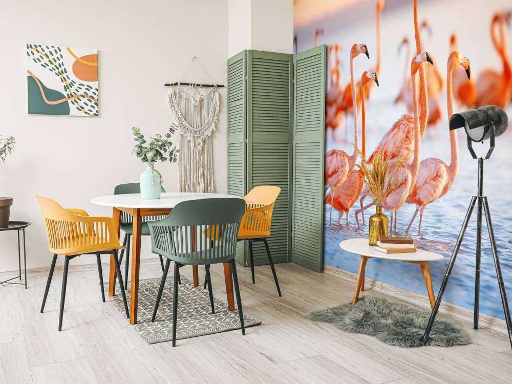 Flamants roses avec un regard fixe