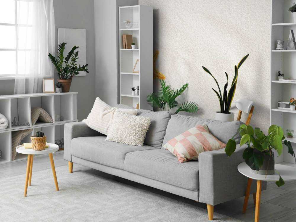 Étoile de mer sur sable blanc