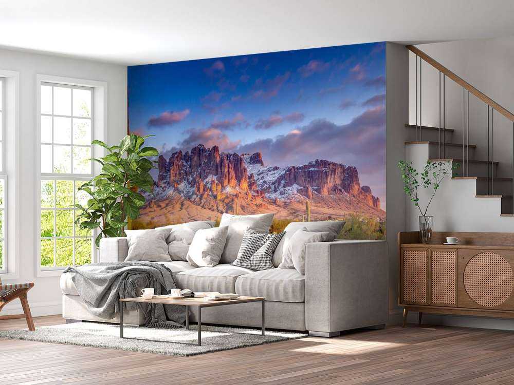 Cactus dans un paysage de montagne