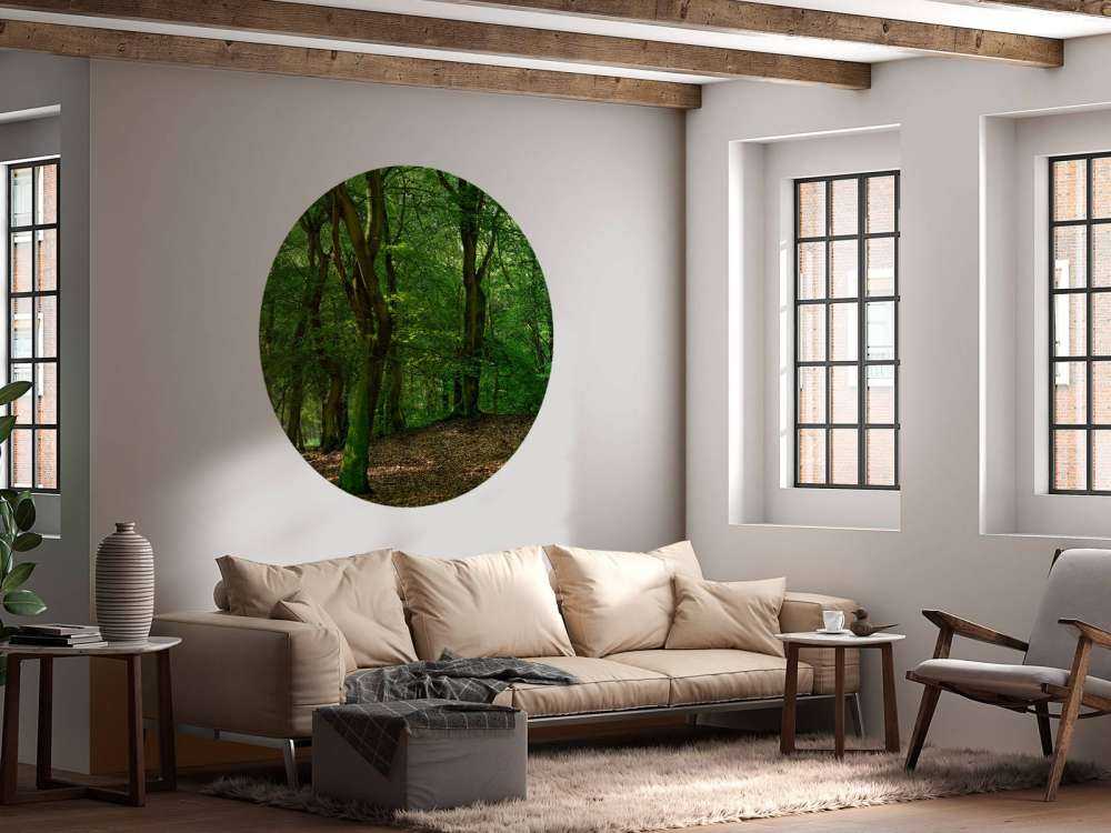 Arbres à feuilles vertes