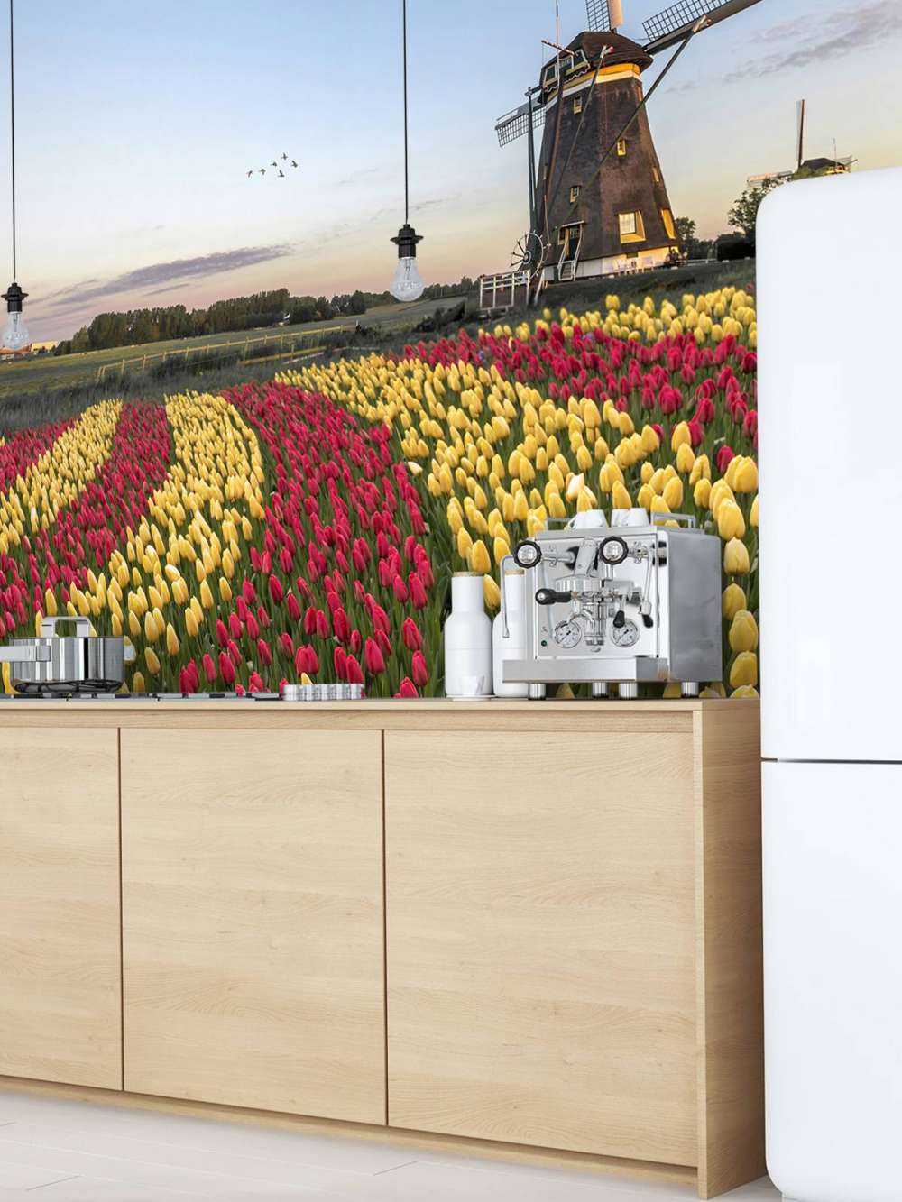 Champ de tulipes néerlandais