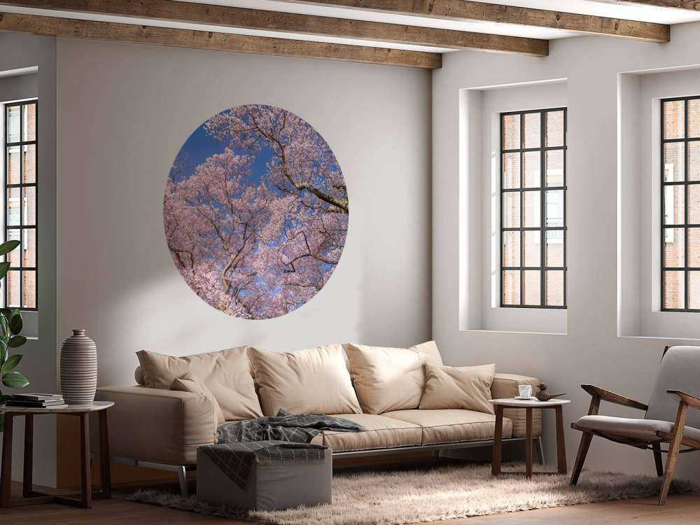 Fleurs avec un ciel bleu