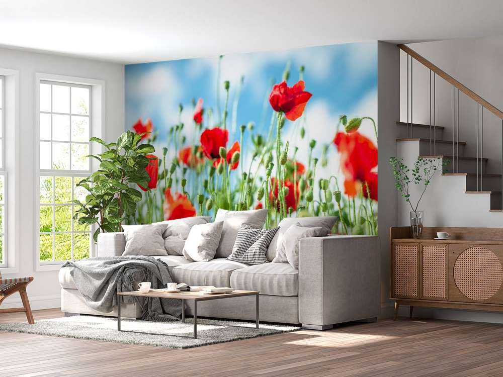 Champ avec des coquelicots