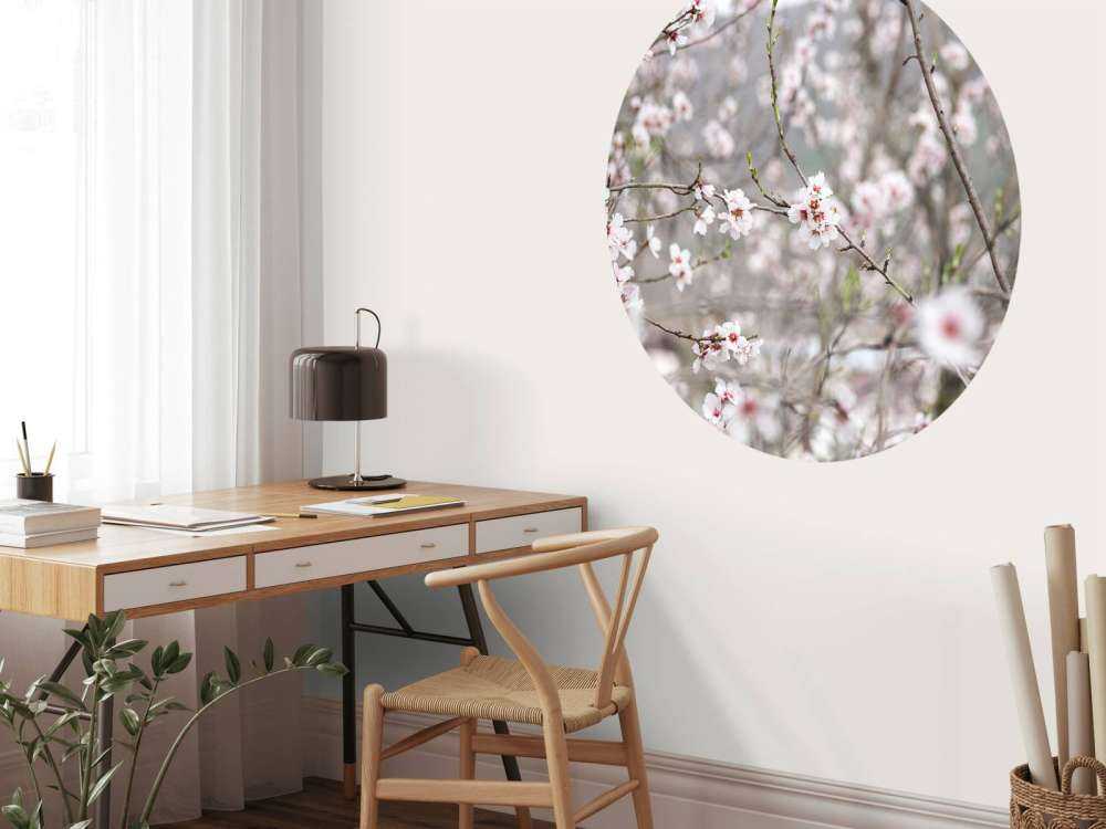 Fleurs roses et blanches