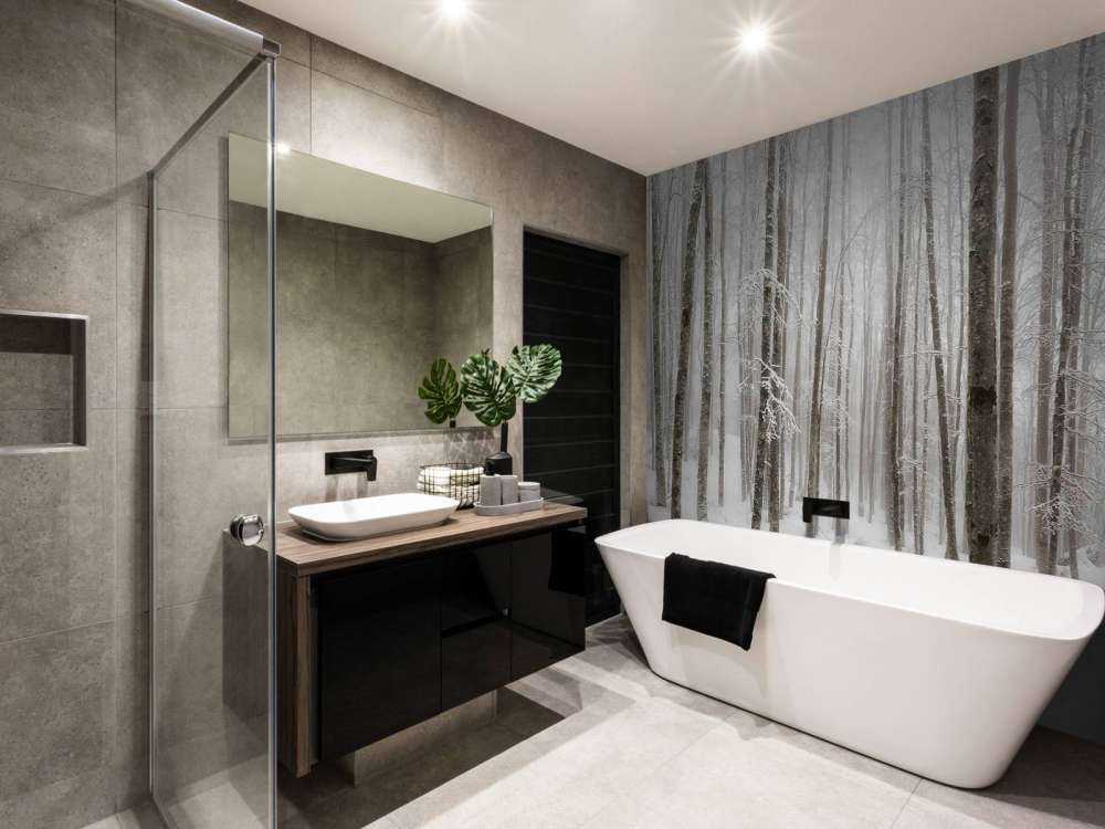 Forêt de hêtres avec de la neige