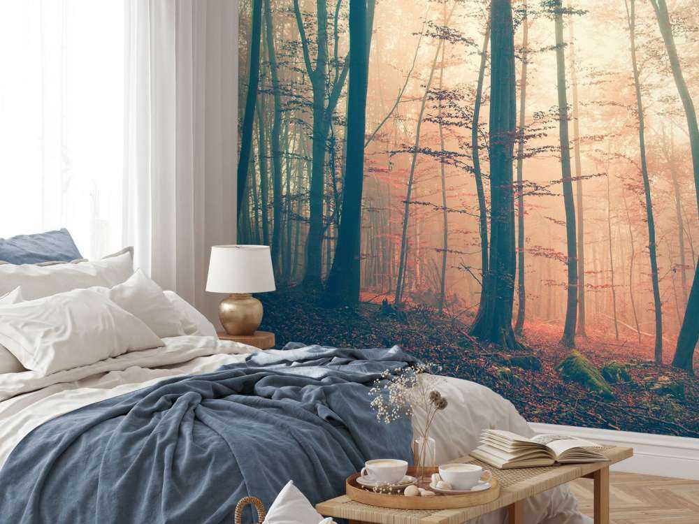 Forêt aux couleurs vintage