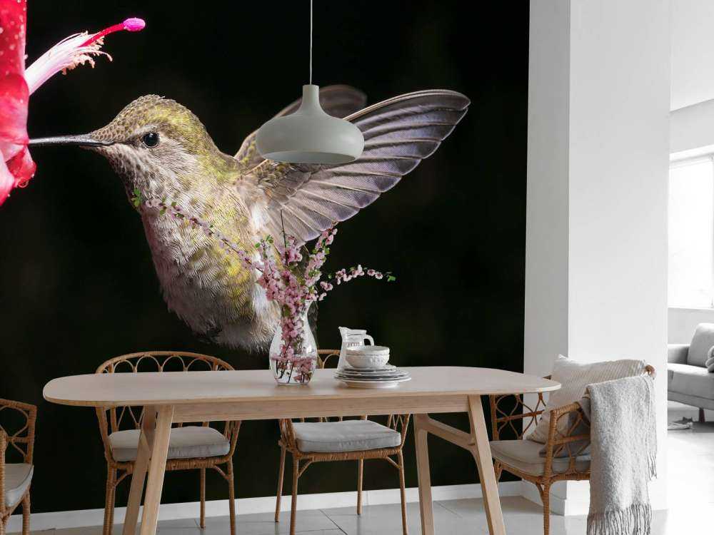 Colibri avec une fleur rouge