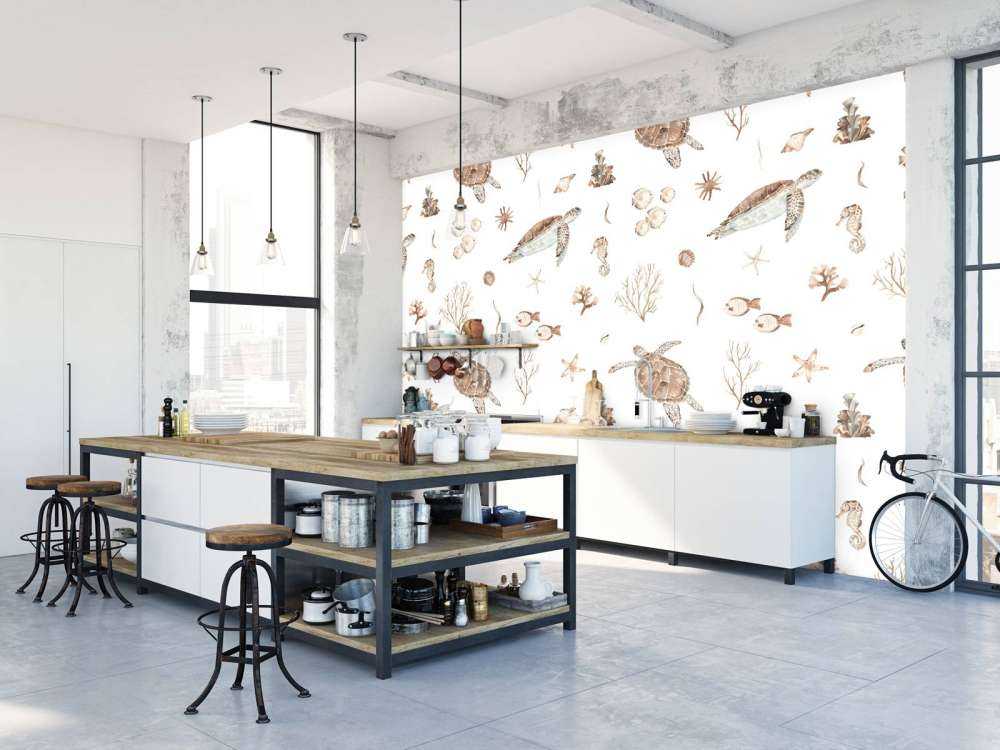 Coquillages et créatures marines