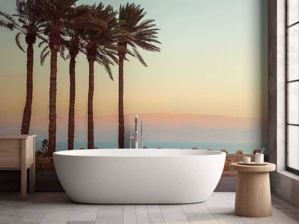 Palmiers au coucher du soleil