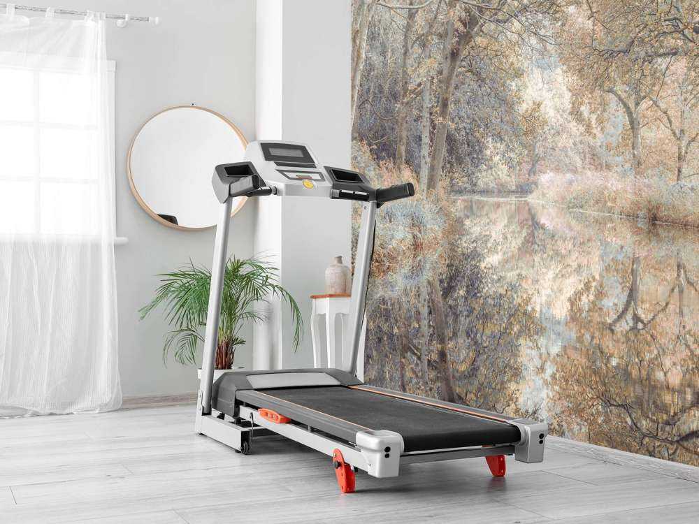 Rivière dans les bois