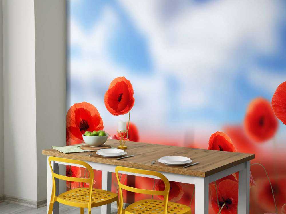 Ciel bleu et coquelicots rouges
