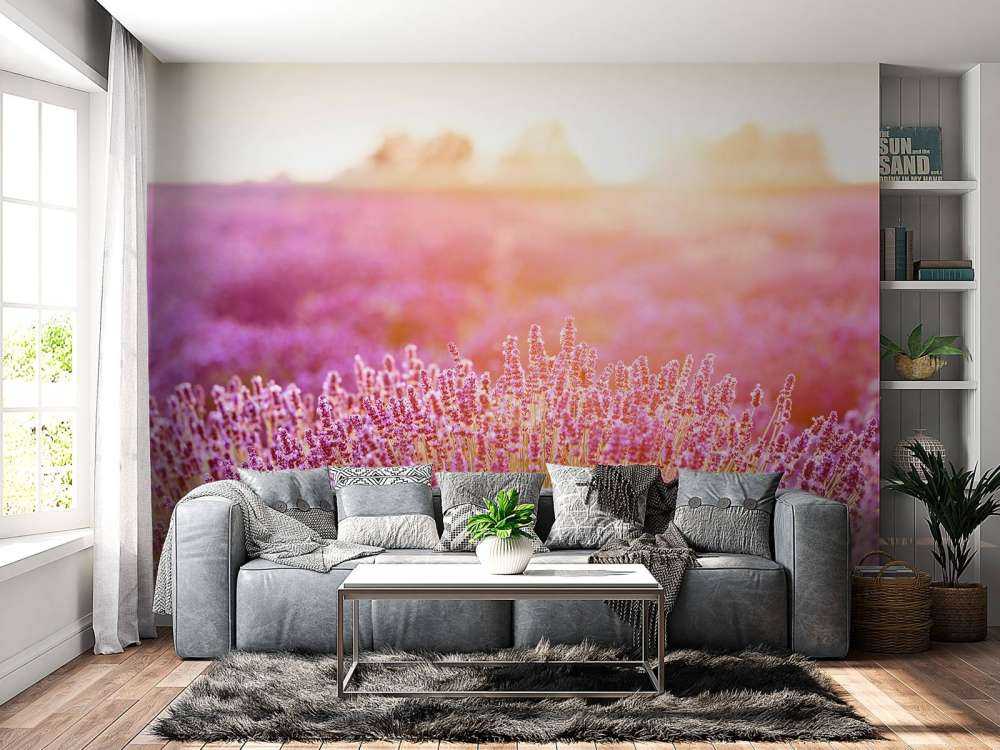 Gros plan sur des fleurs de lavande