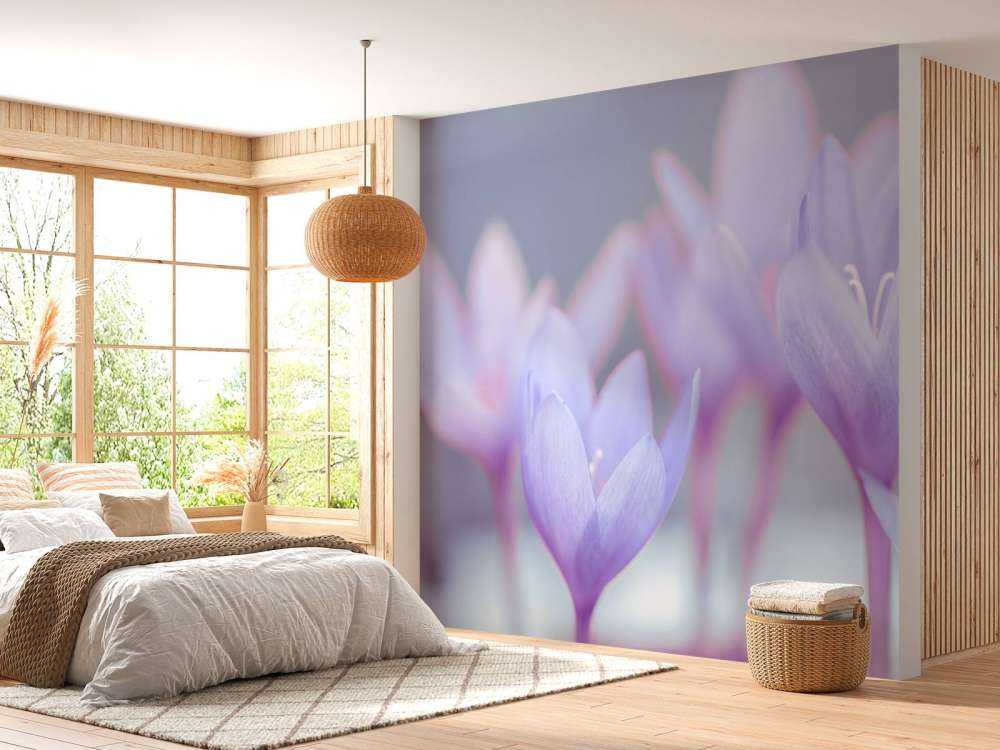Crocus