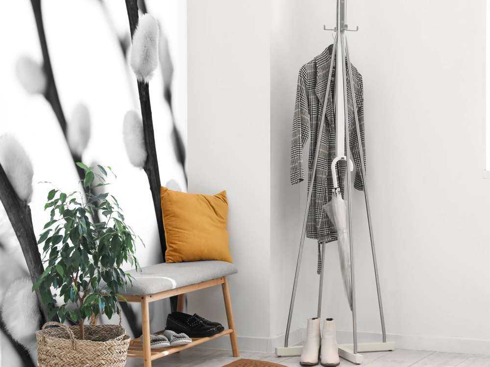 Saule de la forêt en noir et blanc