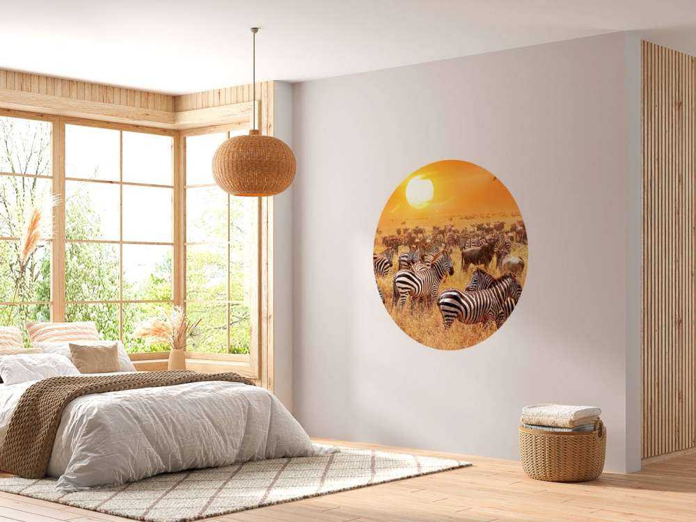 Soleil de la savane avec des zèbres