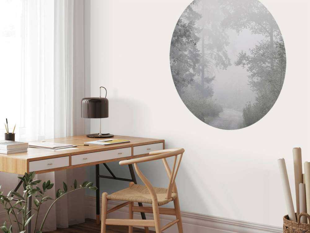 Route à travers la forêt brumeuse