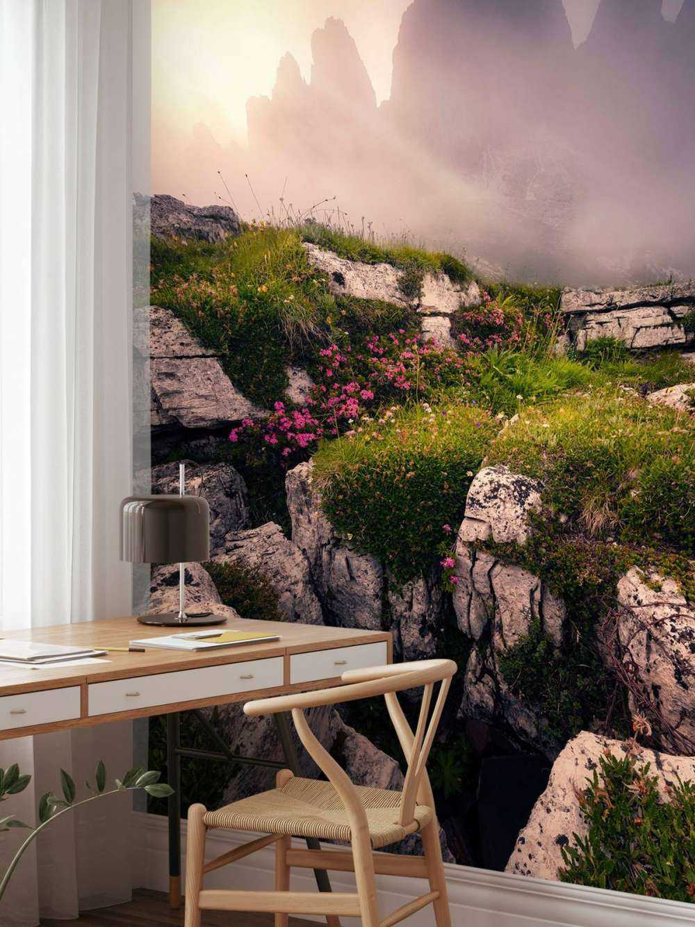 Nevelige Bergtoppen et Fleurs des Alpes